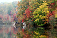 2015 Lake Ooleney Fall